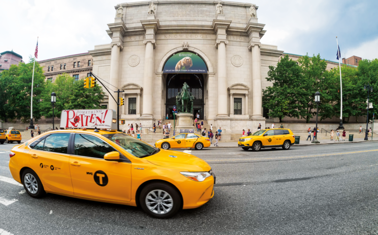 American Museum of Natural History