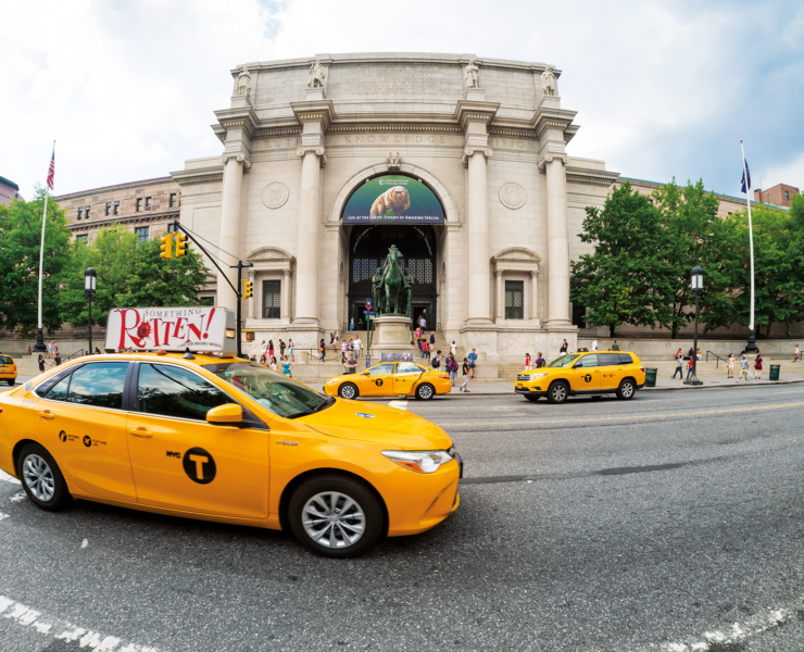 American Museum of Natural History