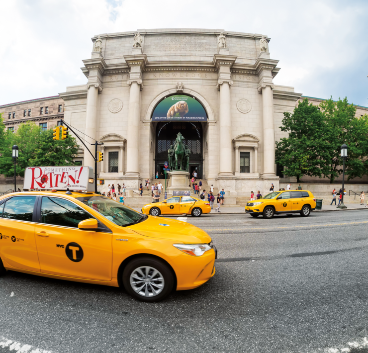 American Museum of Natural History