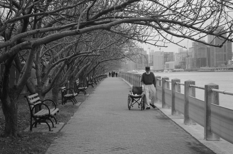 Roosevelt Island