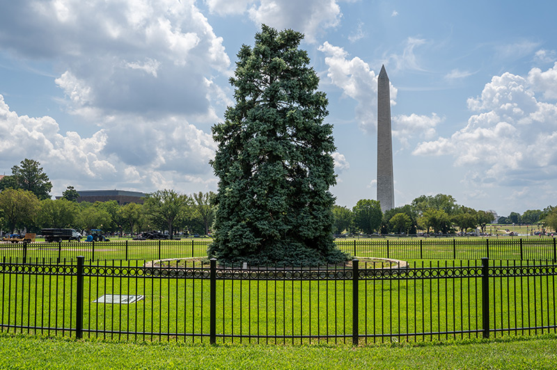 Ellipse Presidents Park