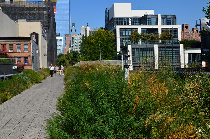 High Line