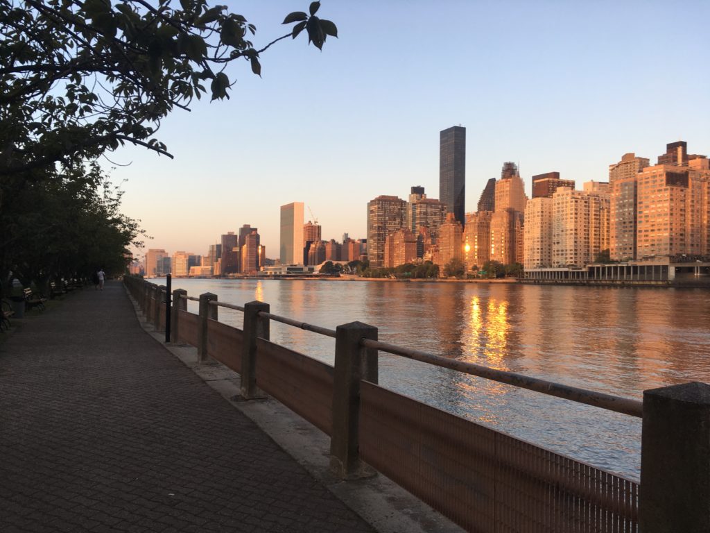 Roosevelt Island