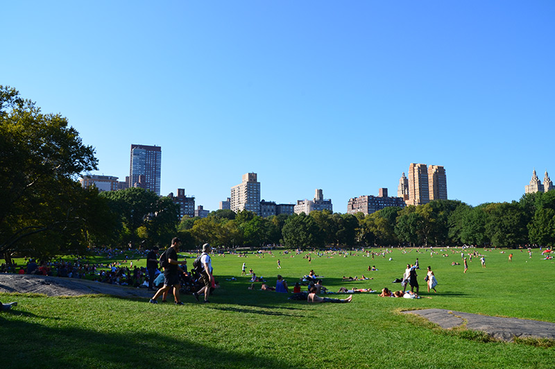 Central Park