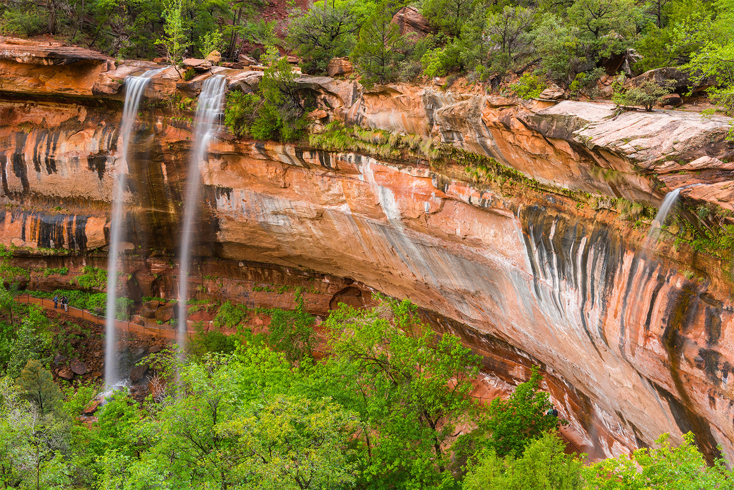 Wandelingen in Zion National Park