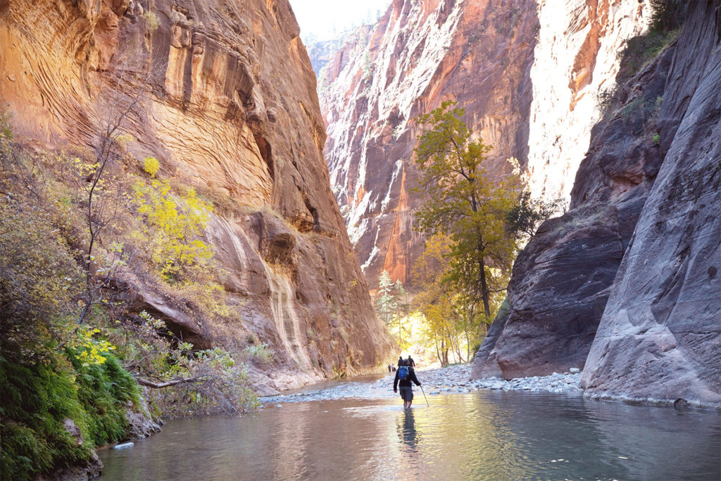 zion-narrow-canyon Wandelingen in Zion National Park