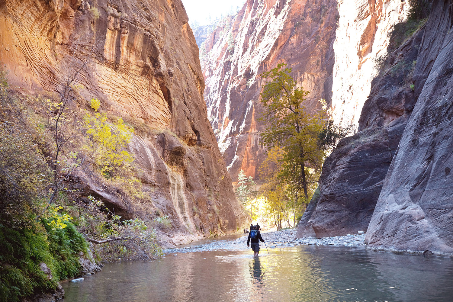 Wandelingen in Zion National Park