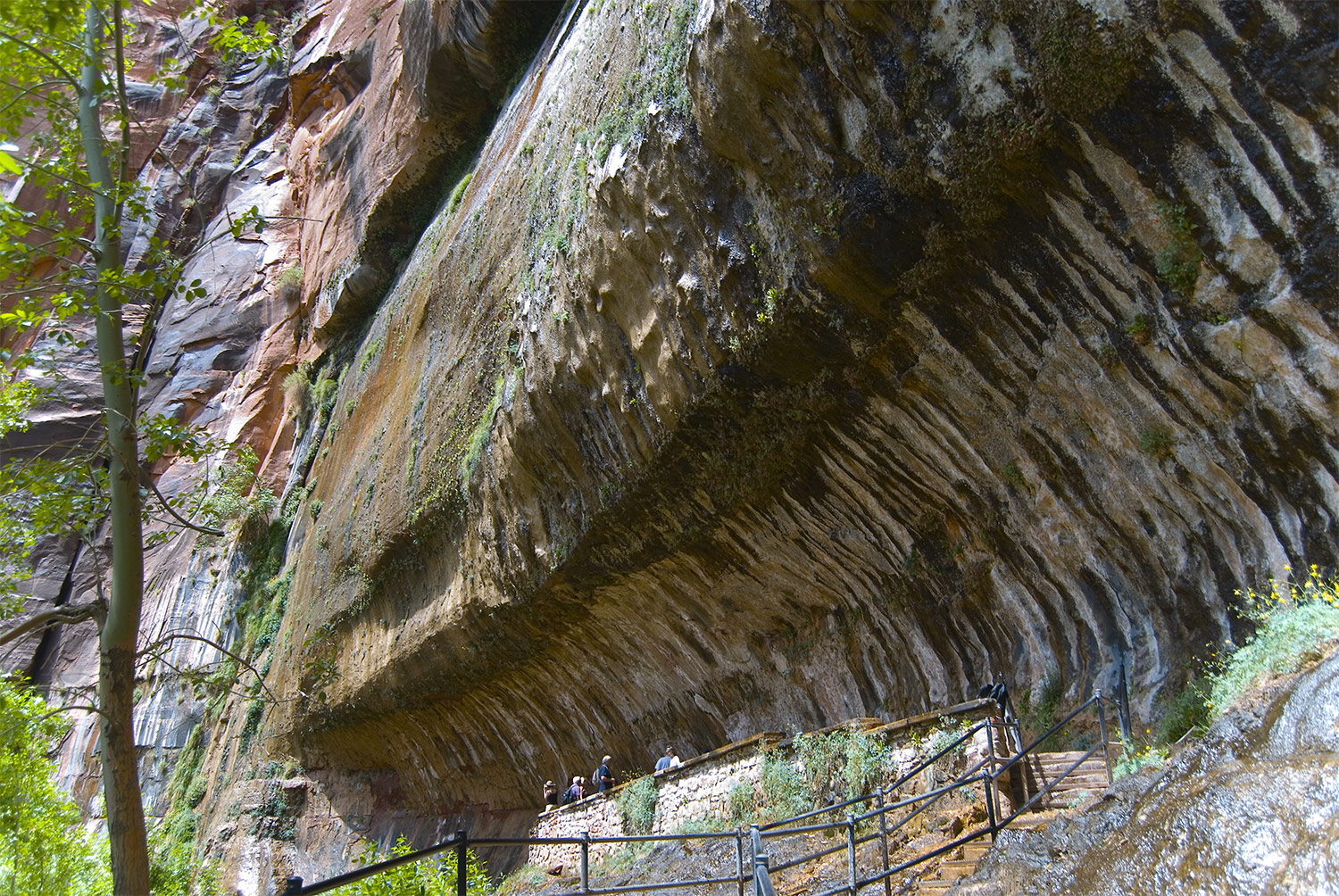 Wandelingen in Zion National Park