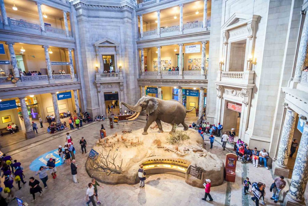 National Museum of Natural History