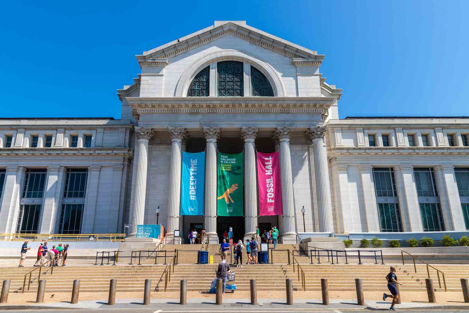 National Museum of Natural History in Washington DC