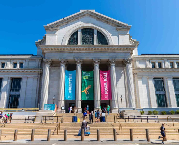 National Museum of Natural History in Washington DC
