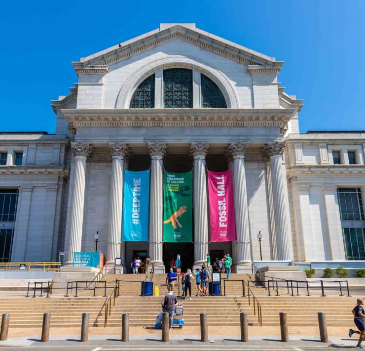 National Museum of Natural History in Washington DC