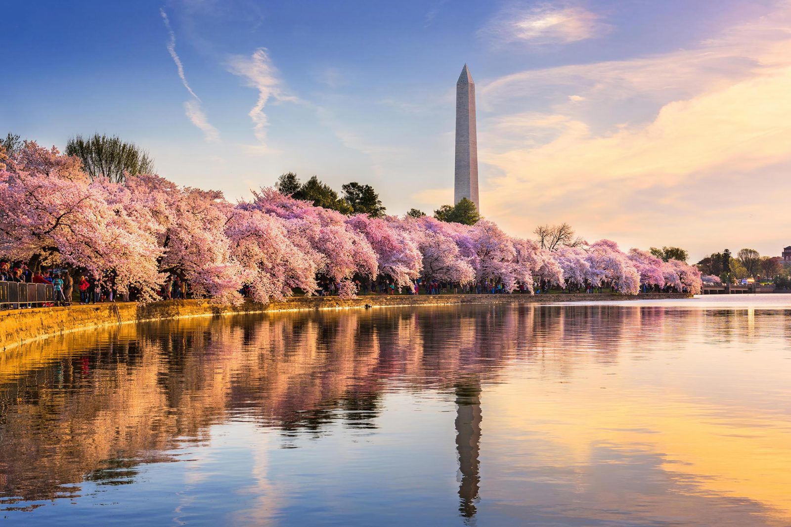 Washington Monument