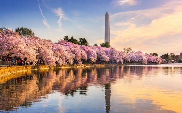 Washington Monument