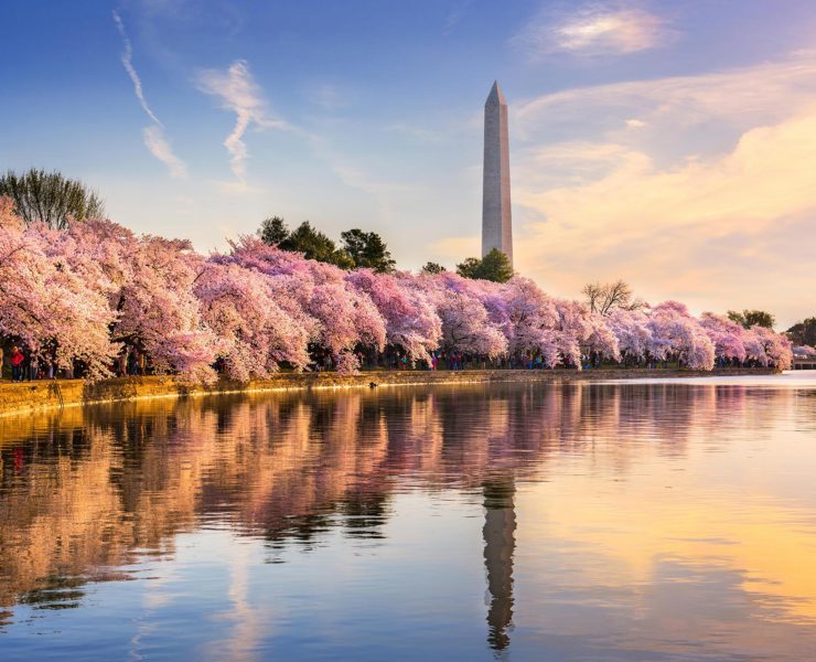 Washington Monument