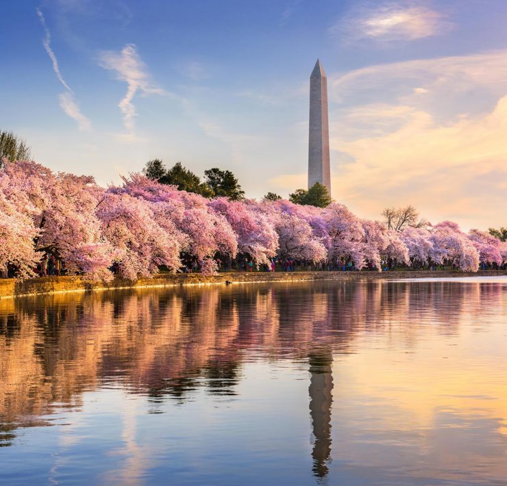 Washington Monument