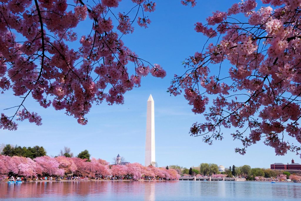 Washington Monument