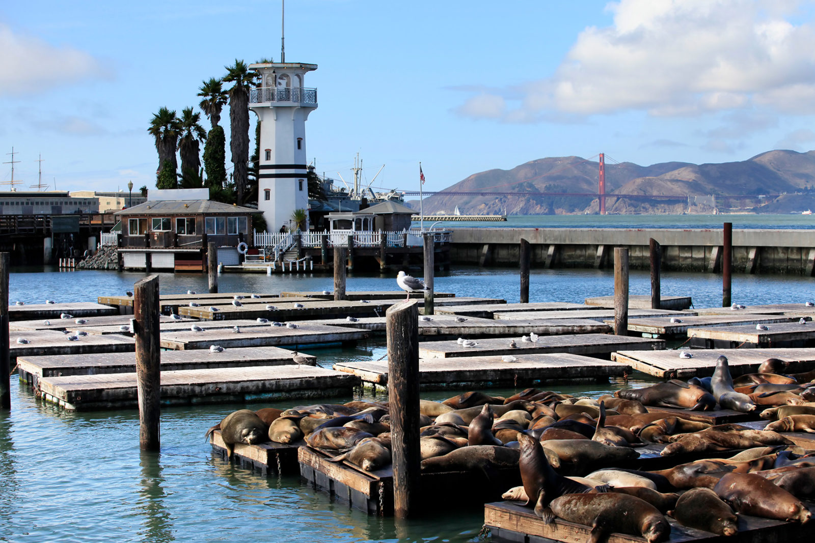 Pier 39