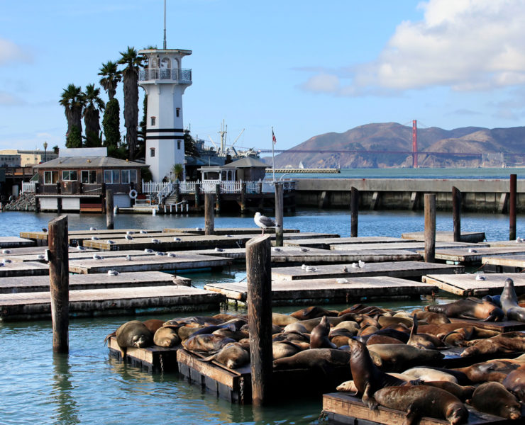 Pier 39