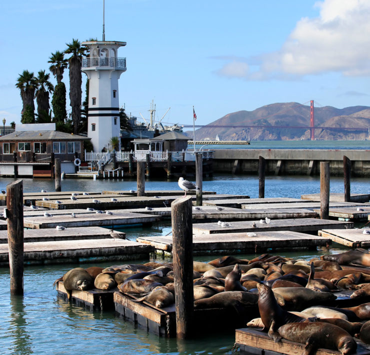 Pier 39