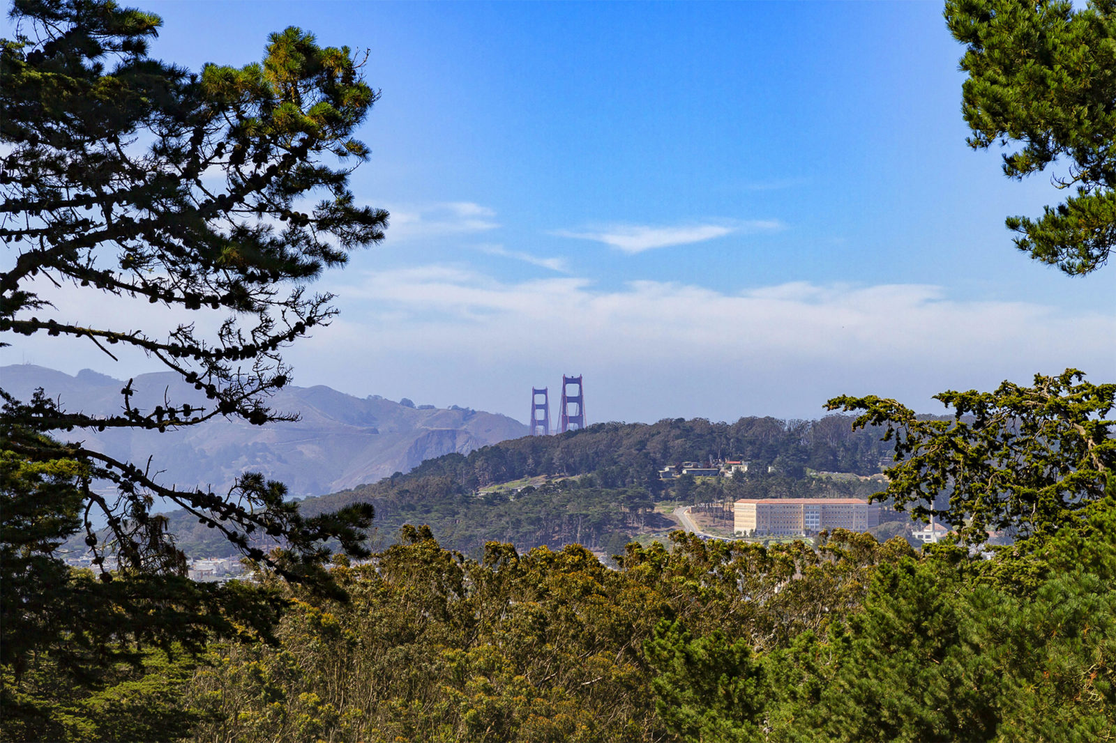 Buena Vista Park in San Francisco