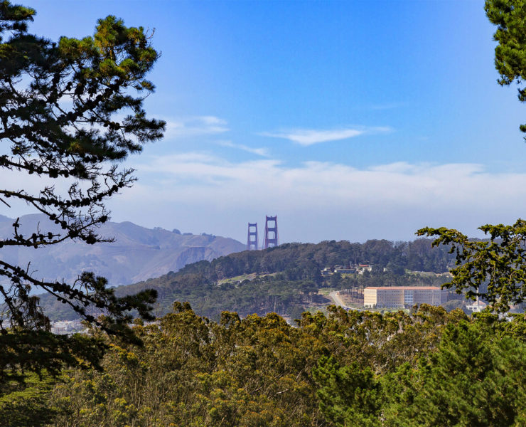 Buena Vista Park in San Francisco