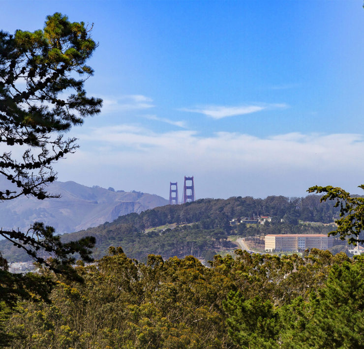 Buena Vista Park in San Francisco