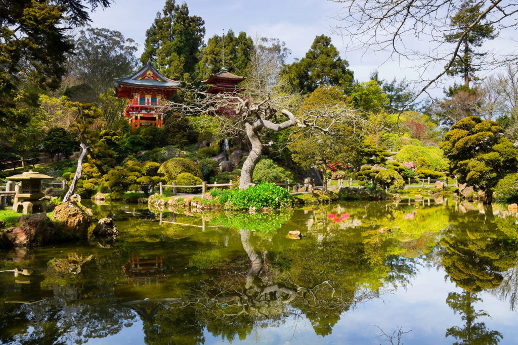 Golden Gate Park