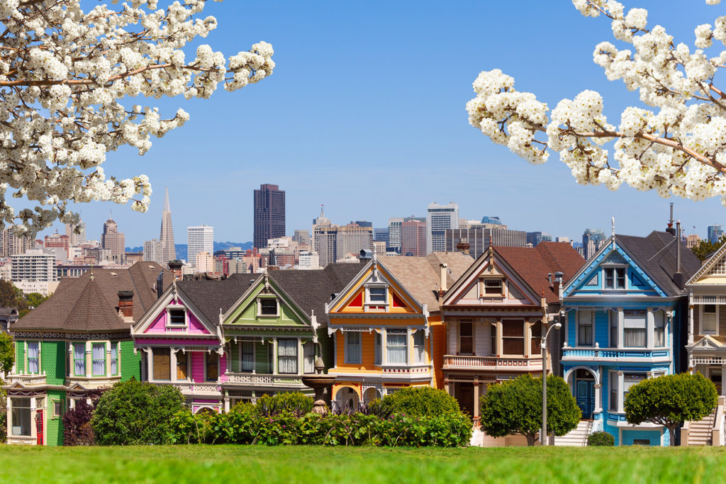 Painted Ladies