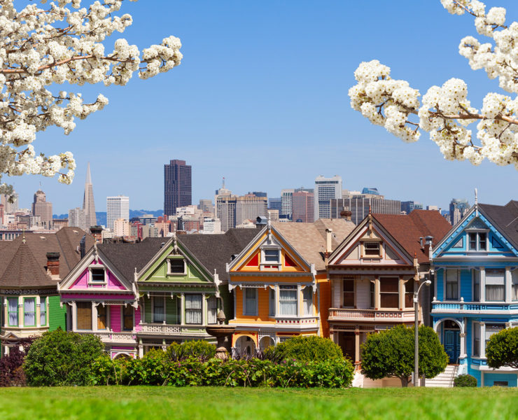 Painted Ladies