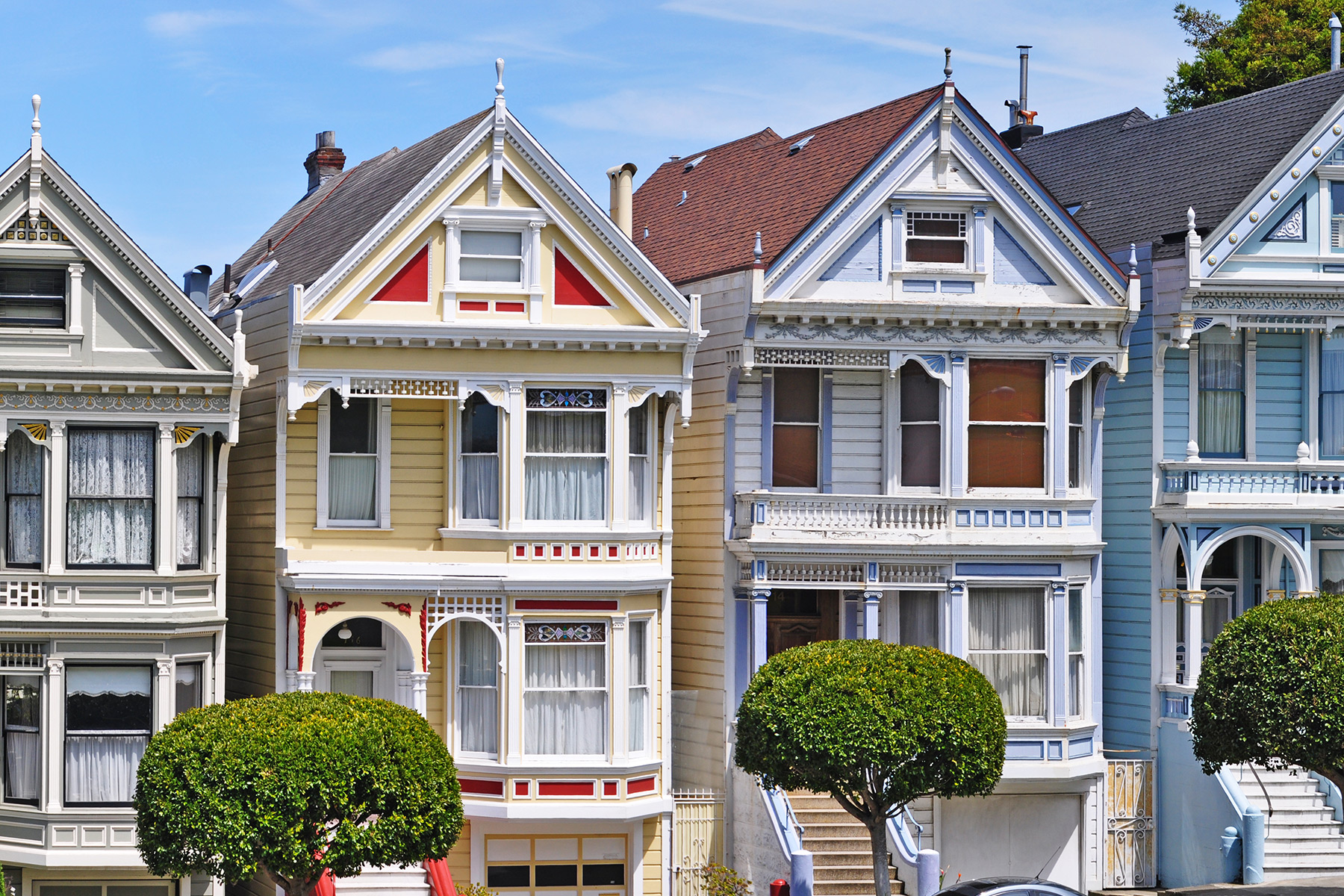 Painted Ladies