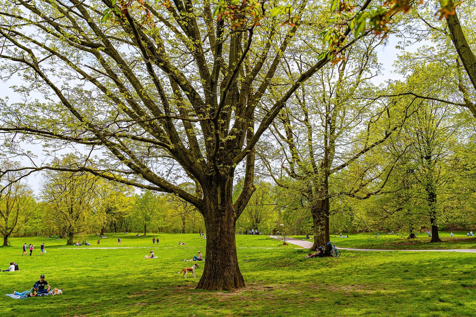 Prospect Park