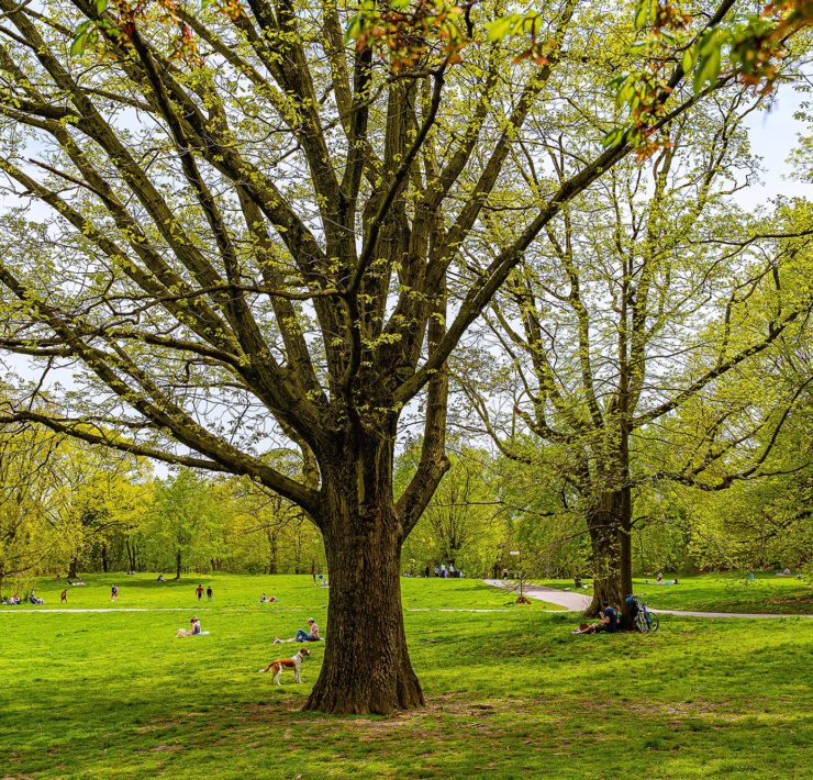 Prospect Park