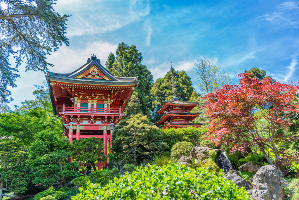 De weelderige Japanese Tea Garden tijdens de zomer