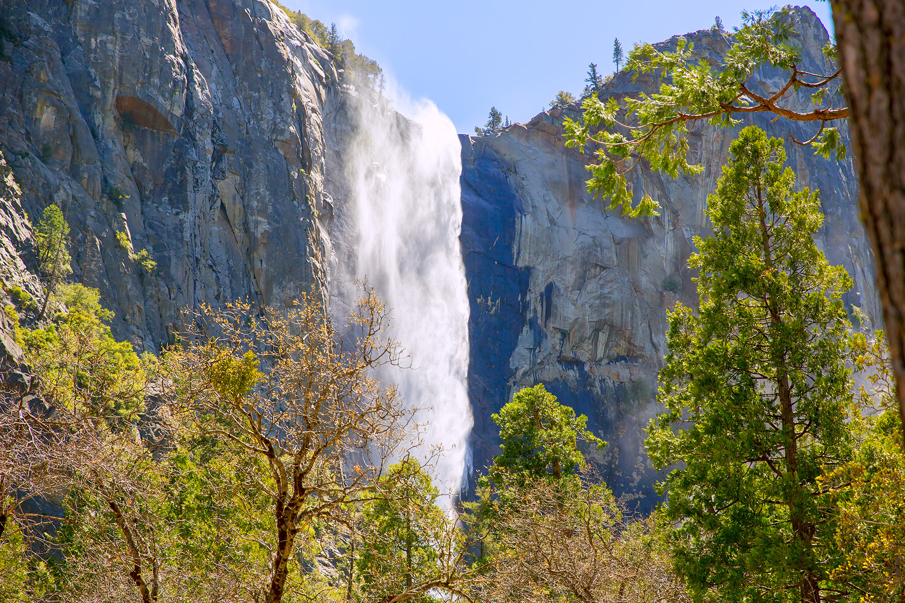 Yosemite National Park