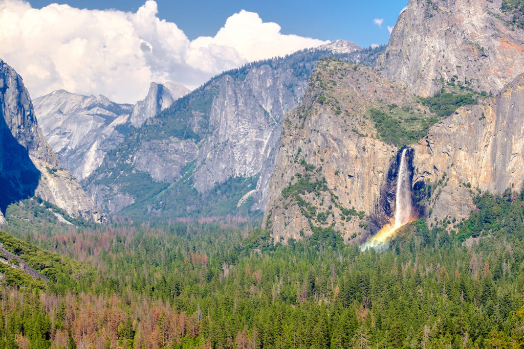 Yosemite National Park