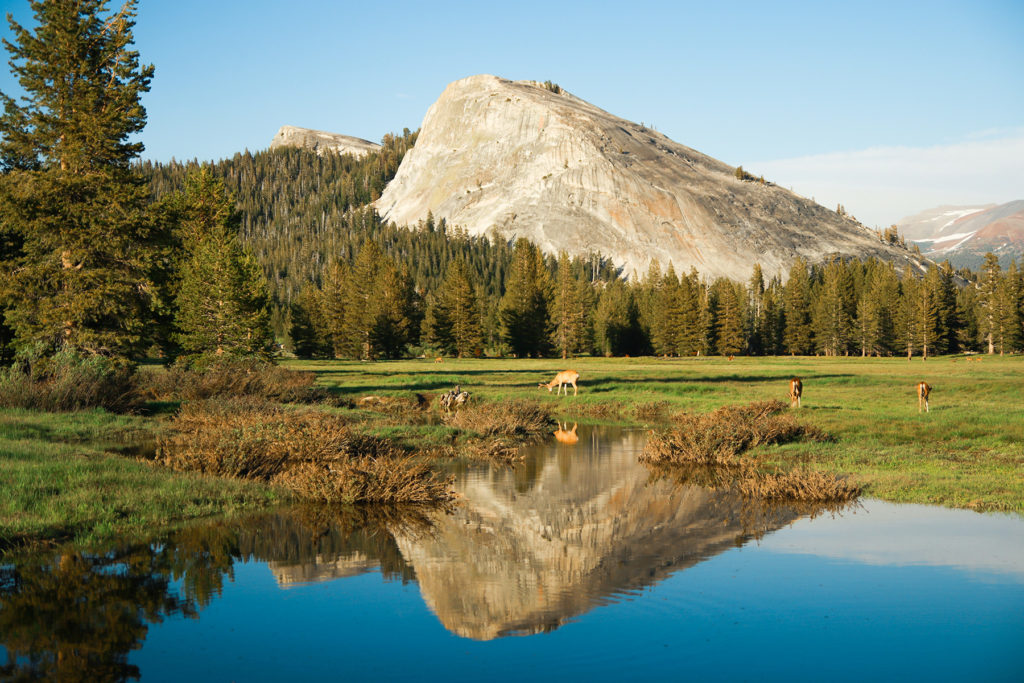 Yosemite National Park