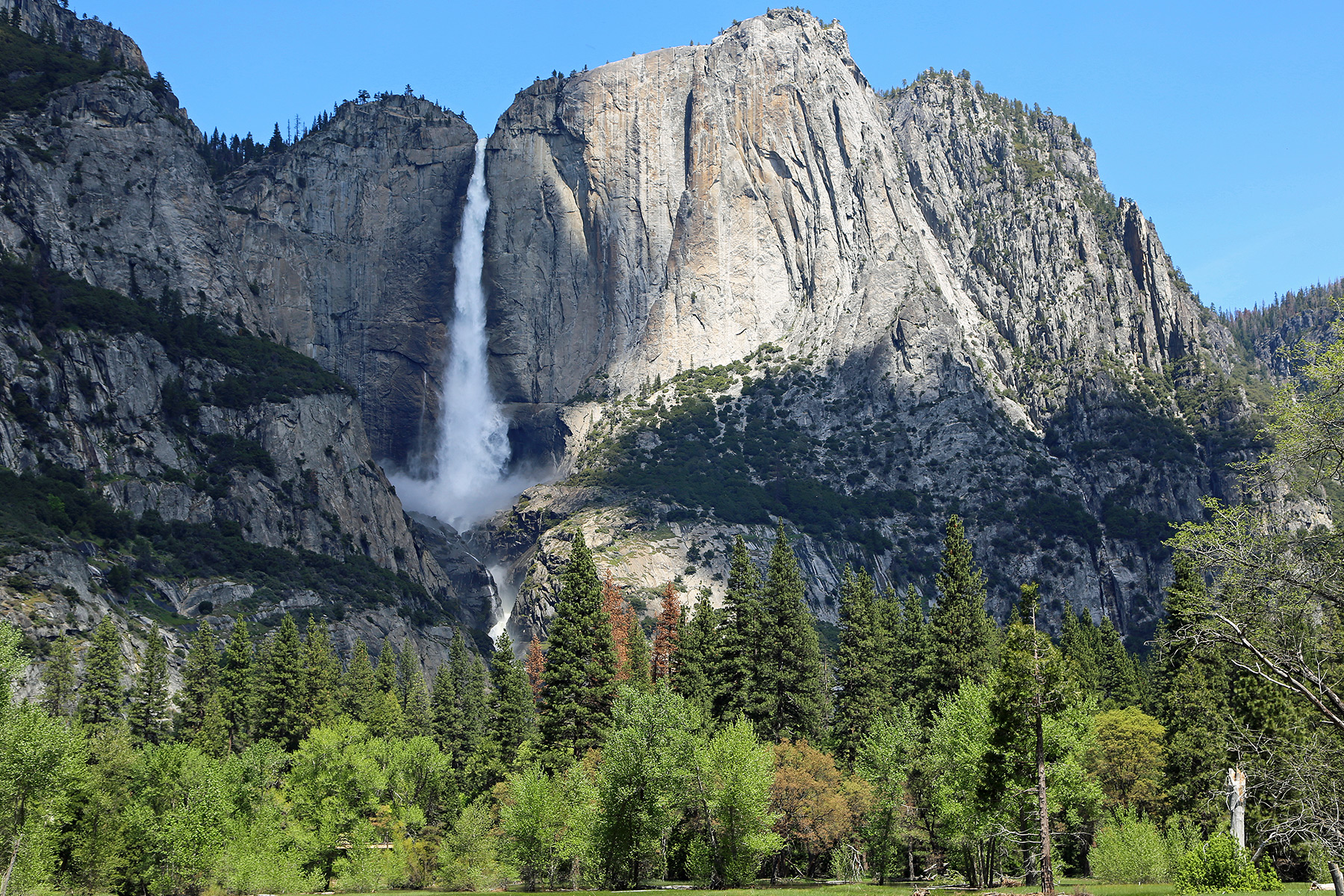 Yosemite National Park