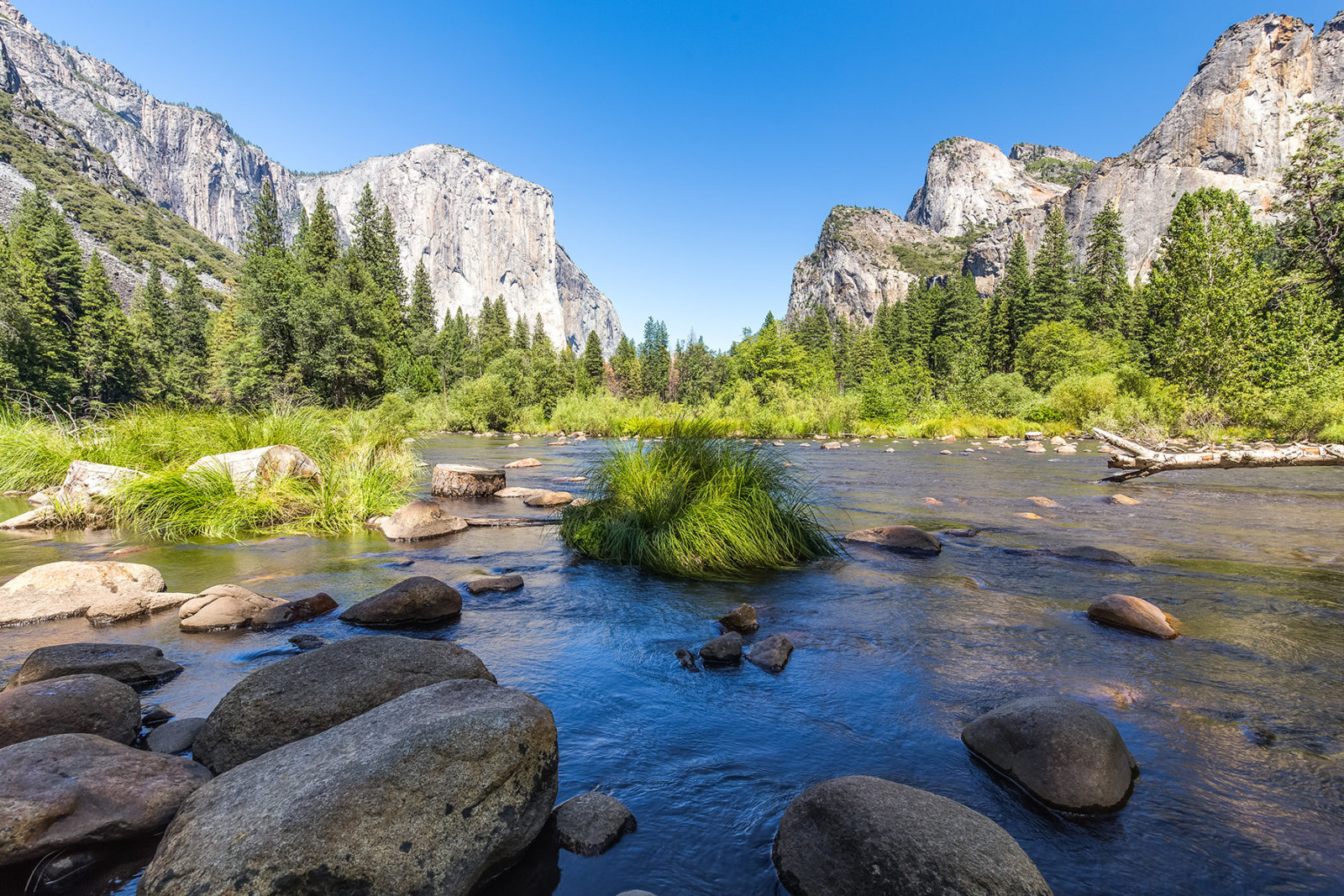 Yosemite National Park