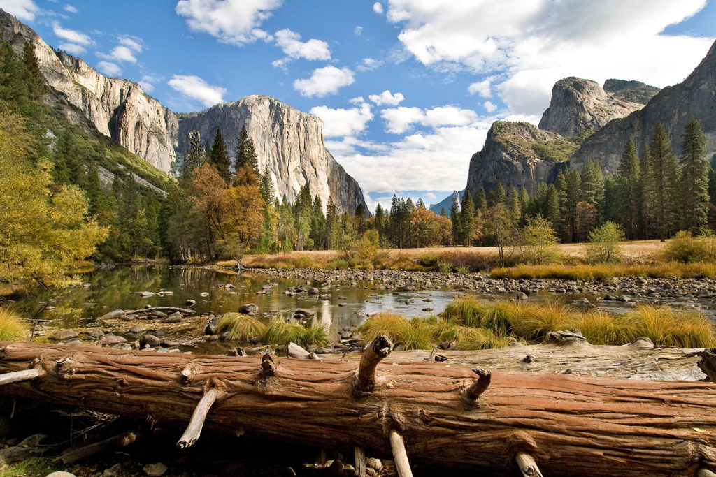 Yosemite National Park