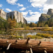 Yosemite National Park