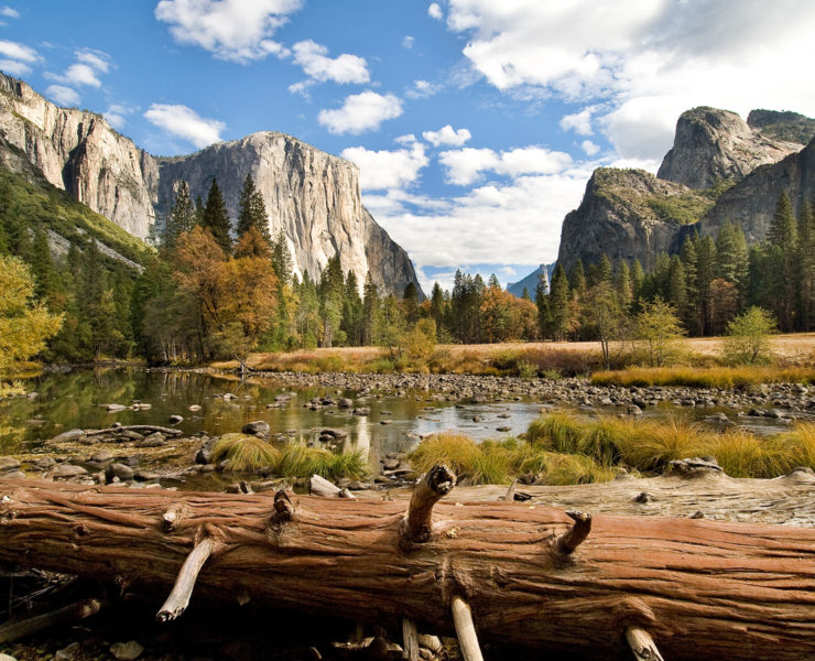 Yosemite National Park