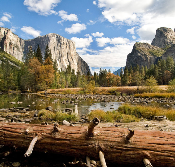 Yosemite National Park