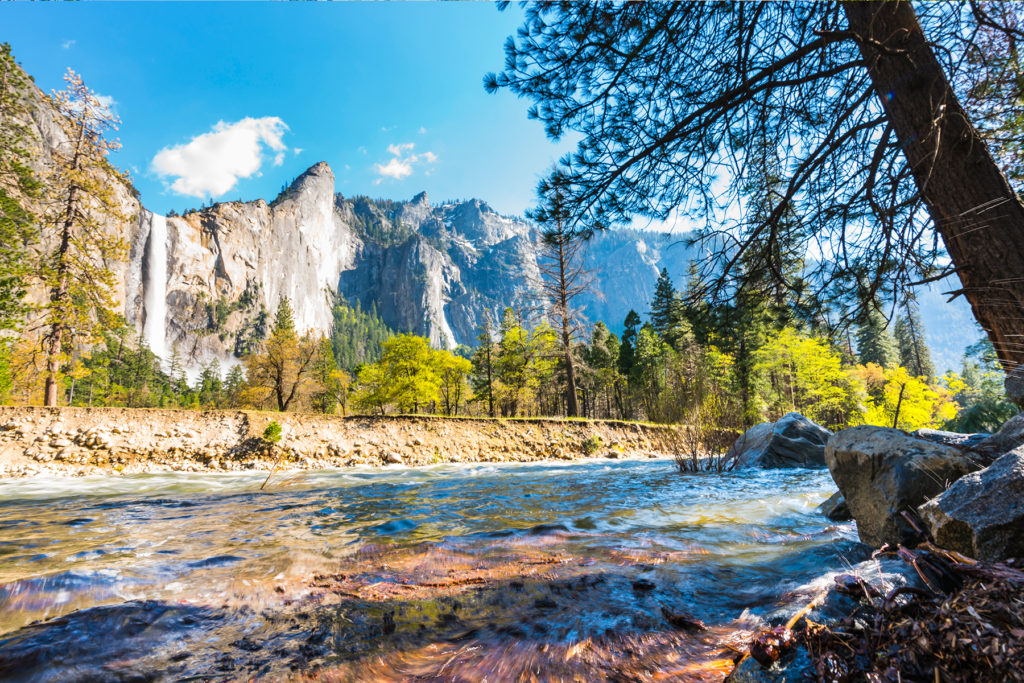 Yosemite National Park