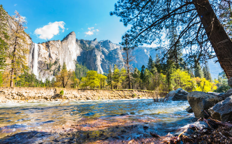 Yosemite National Park