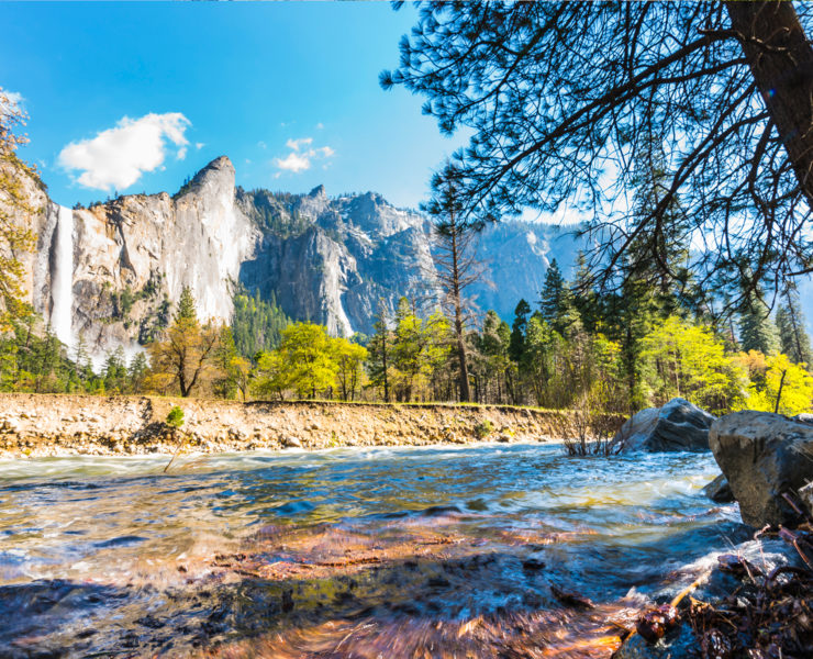 Yosemite National Park