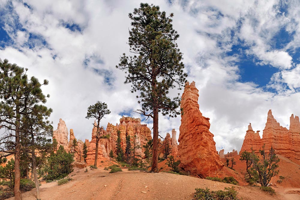 Wandelingen in Bryce Canyon