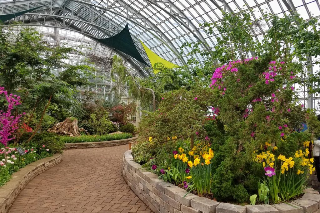 garfield-park-conservatory-chicago Garfield Park Conservatory in Chicago