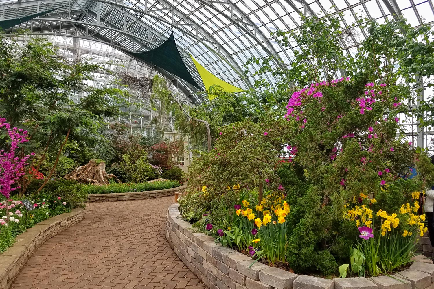 Garfield Park Conservatory in Chicago