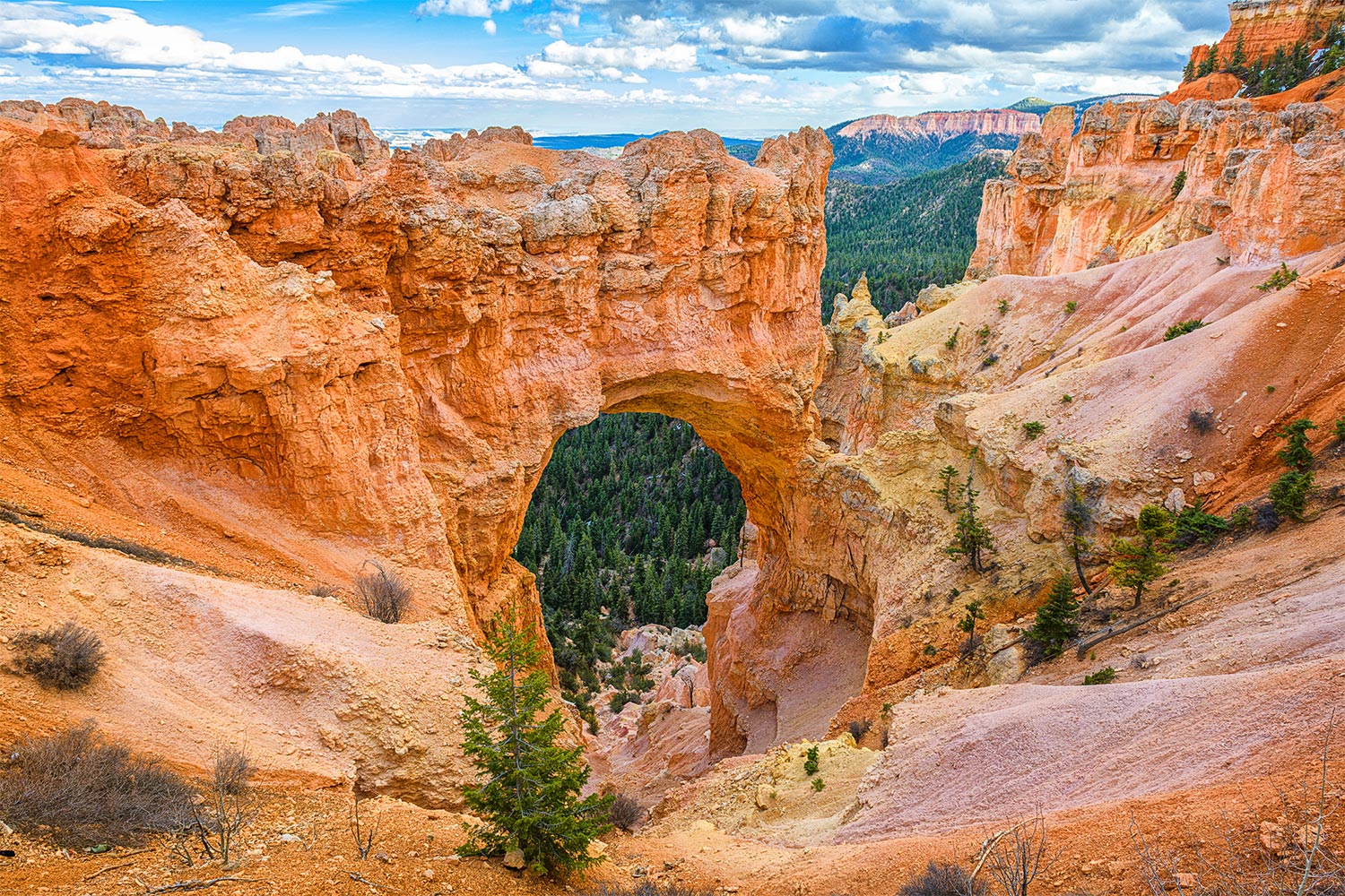 De Natural bridge in Bryce Canyon National Park, Utah